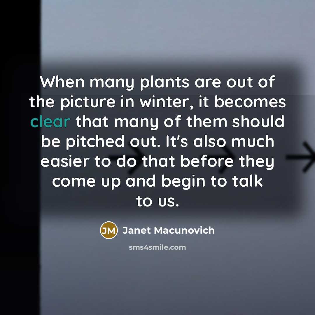 “When many plants are out of the picture in winter,…” quote by Janet Macunovich