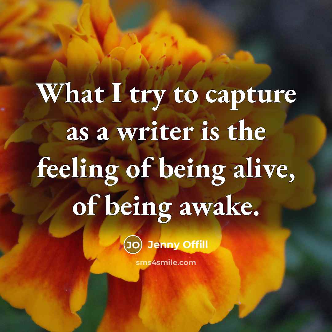 “What I try to capture as a writer is the…” quote by Jenny Offill