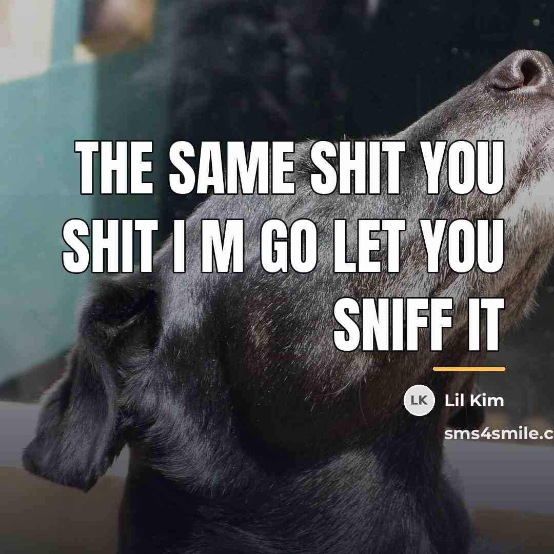 “The same shit you shit I m go let you…” quote by Lil Kim