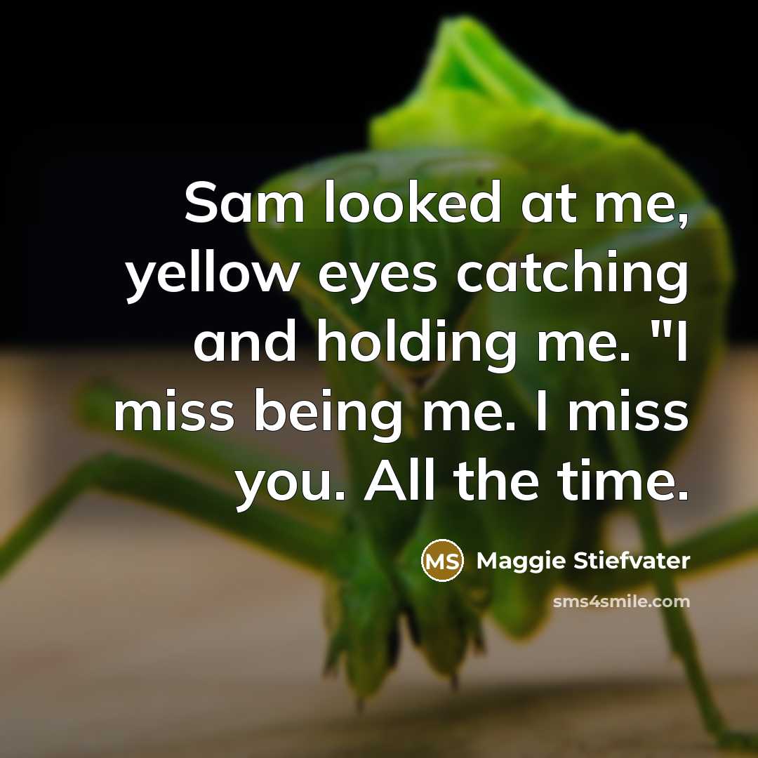 “Sam looked at me, yellow eyes catching and holding me.…” quote by Maggie Stiefvater