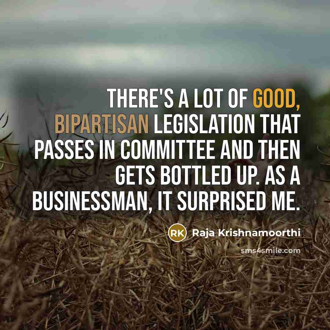 “There's a lot of good, bipartisan legislation that passes in committee and then gets bottled up. As a businessman, it surprised me.” quote by Raja Krishnamoorthi