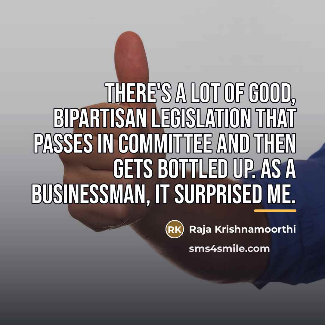“There's a lot of good, bipartisan legislation that passes in…” quote by Raja Krishnamoorthi
