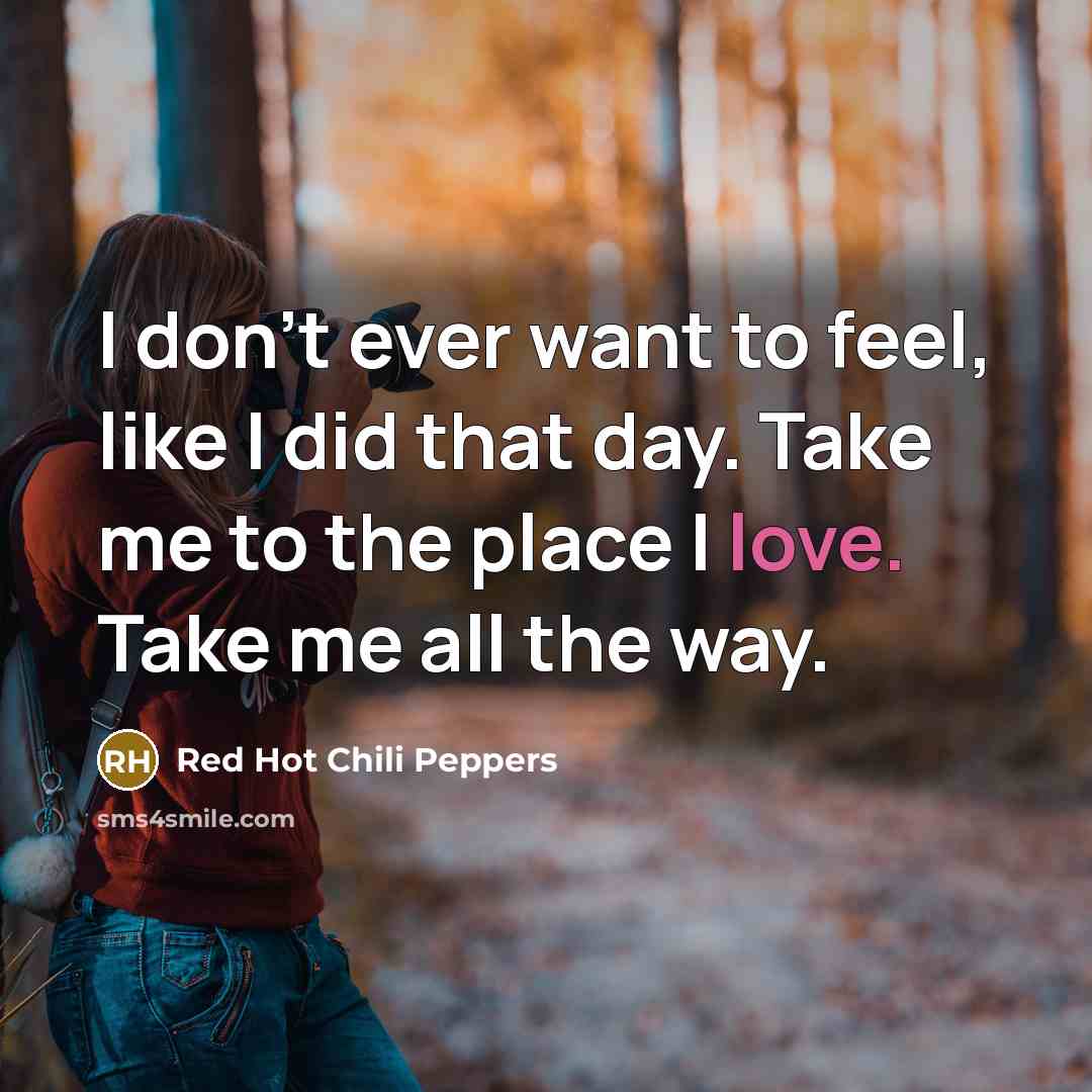 “I don't ever want to feel, like I did that day. Take me to the place I love. Take me all the way.” quote by Red Hot Chili Peppers