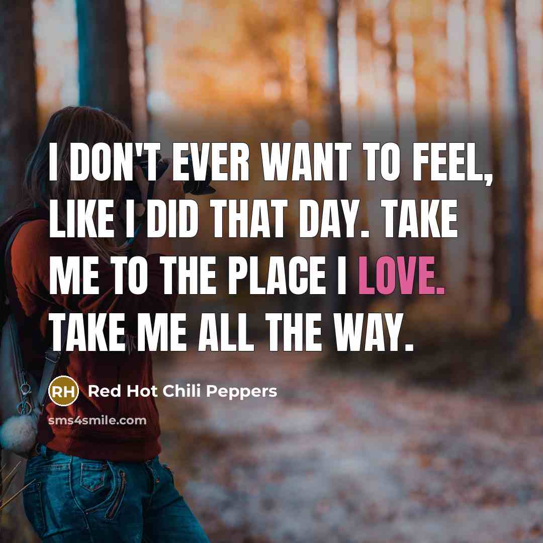 “I don't ever want to feel, like I did that…” quote by Red Hot Chili Peppers