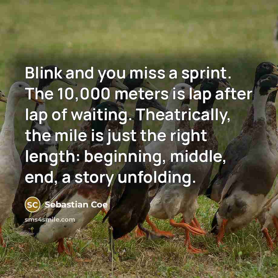 “Blink and you miss a sprint. The 10,000 meters is…” quote by Sebastian Coe
