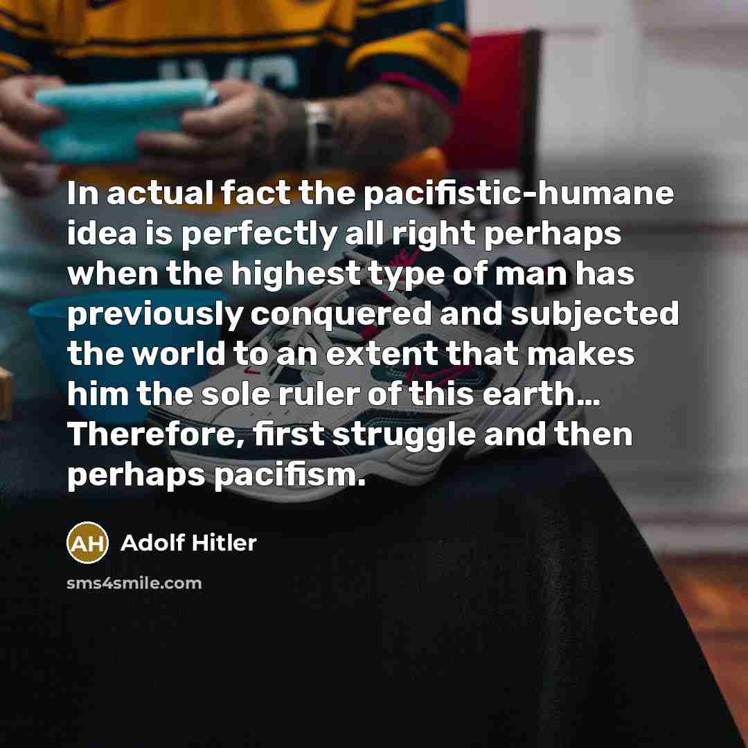 “In actual fact the pacifistic-humane idea is perfectly all right…” quote by Adolf Hitler