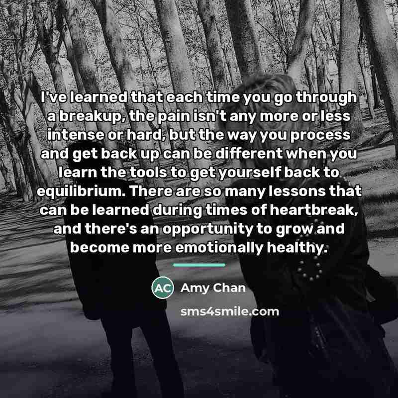 “I've learned that each time you go through a breakup,…” quote by Amy Chan