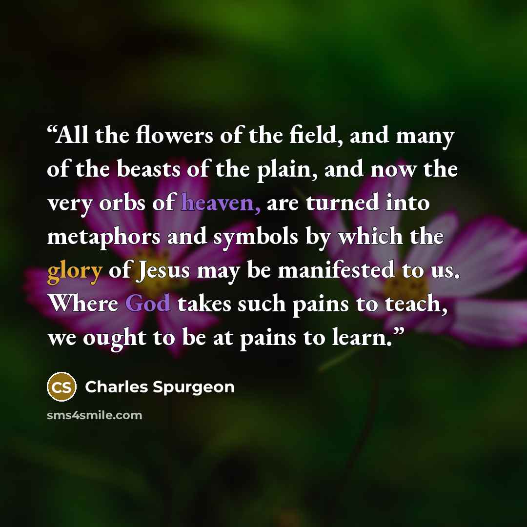 “All the flowers of the field, and many of the beasts of the plain, and now the very orbs of heaven, are turned into metaphors and symbols by which the glory of Jesus may be manifested to us. Where God takes such pains to teach, we ought to be at pains to learn.” quote by Charles Spurgeon