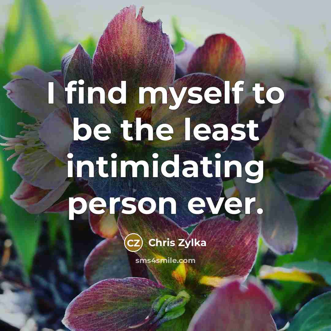 “I find myself to be the least intimidating person ever.…” quote by Chris Zylka