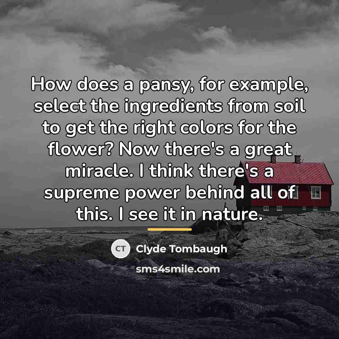“How does a pansy, for example, select the ingredients from…” quote by Clyde Tombaugh