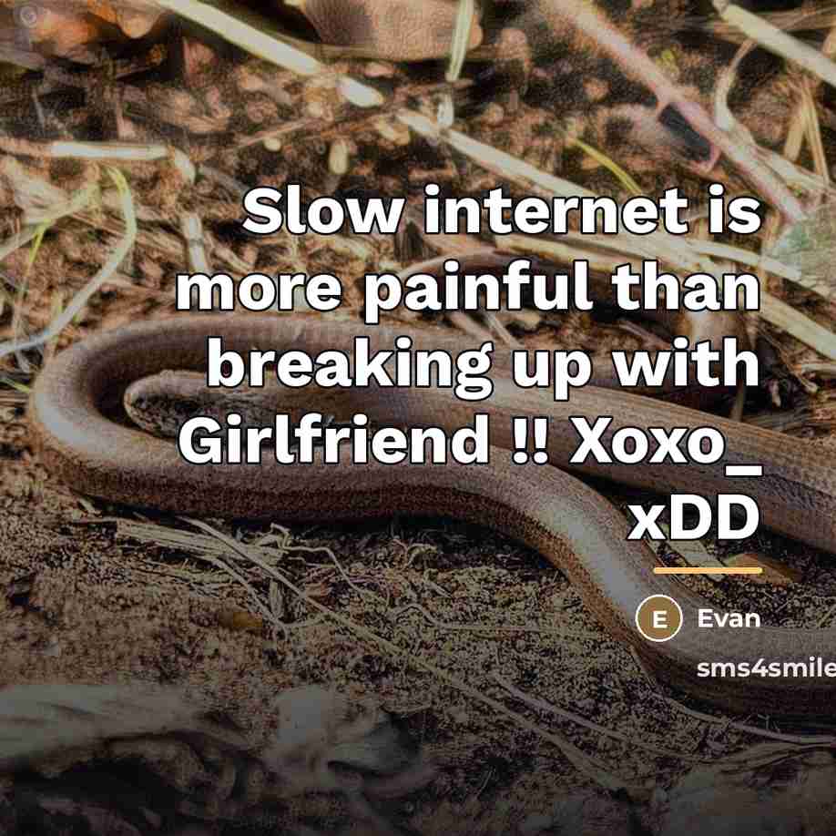 “Slow internet is more painful than breaking up with Girlfriend…” quote by Evan