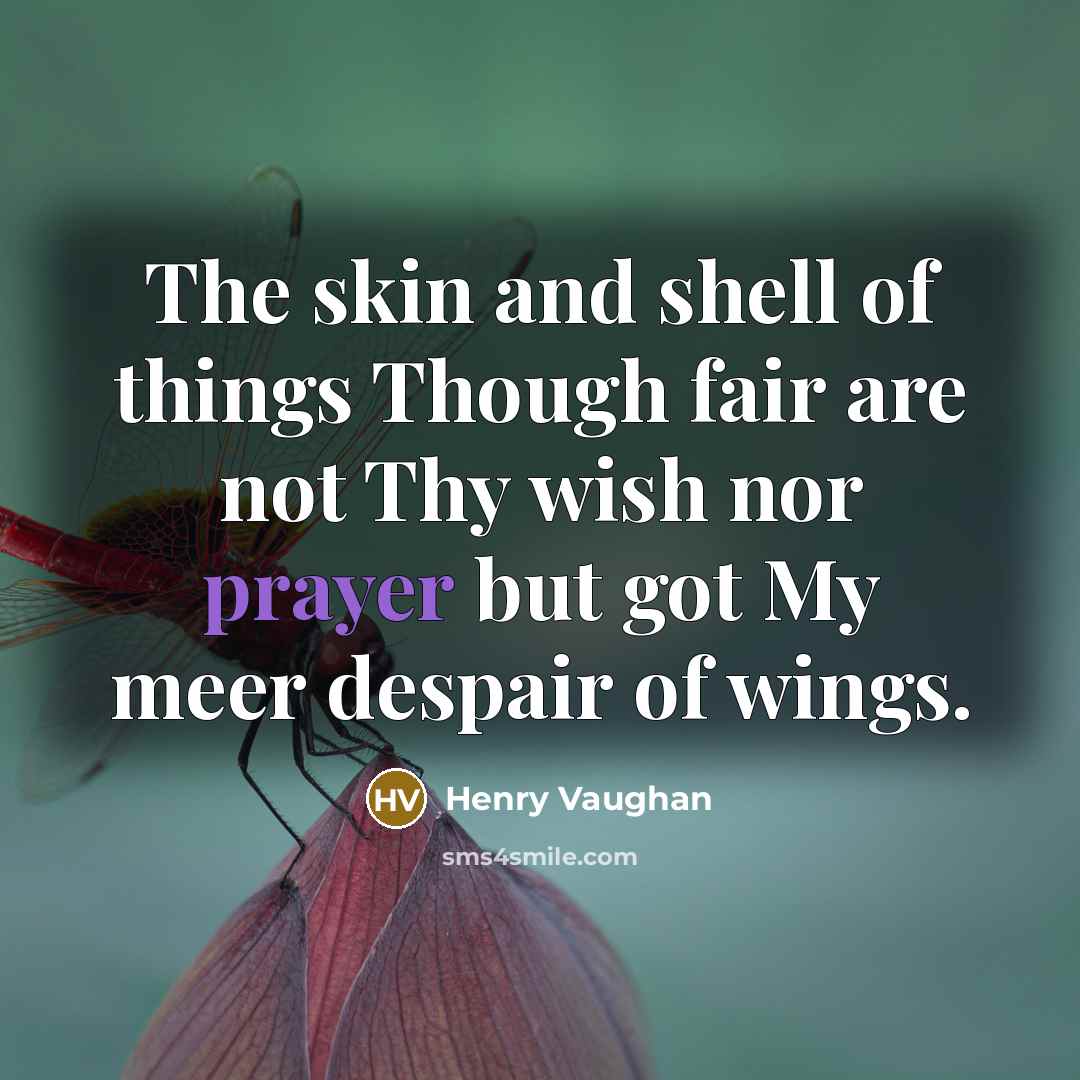 “The skin and shell of things Though fair are not…” quote by Henry Vaughan
