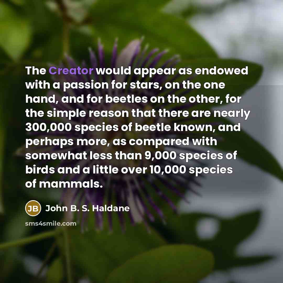 “The Creator would appear as endowed with a passion for…” quote by John B. S. Haldane