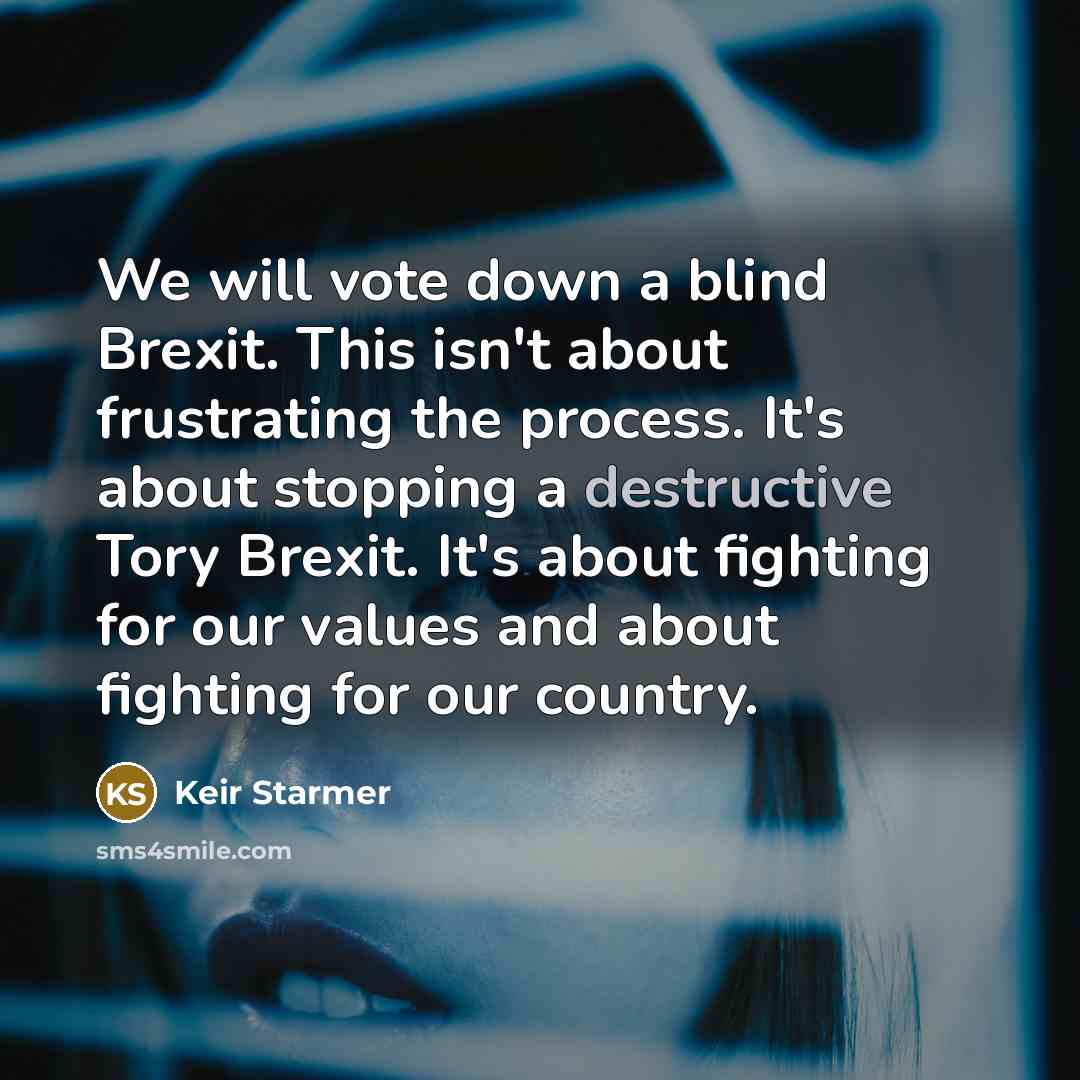 “We will vote down a blind Brexit. This isn't about…” quote by Keir Starmer