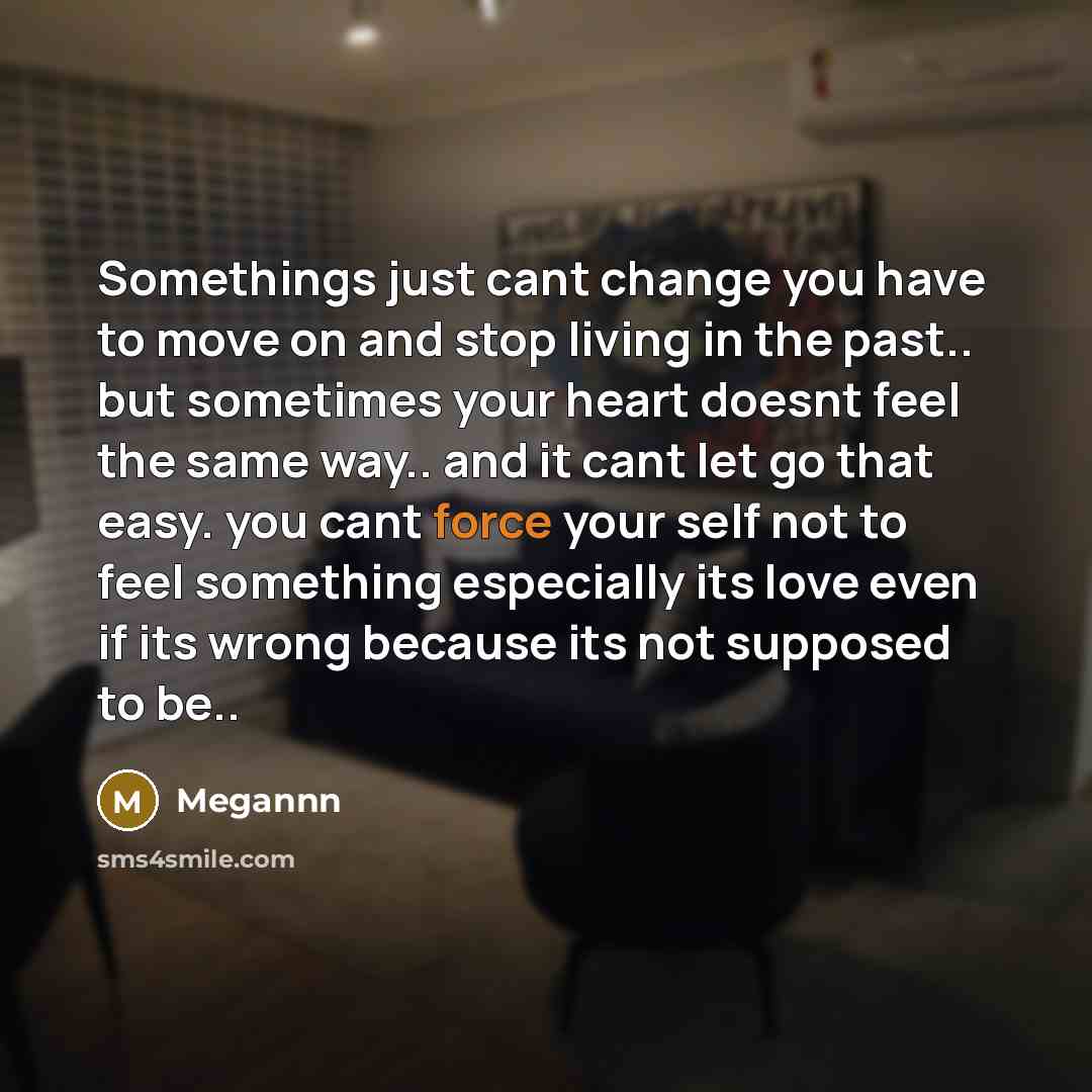 “Somethings just cant change you have to move on and…” quote by Megannn