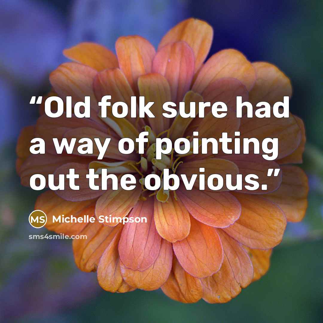 “Old folk sure had a way of pointing out the obvious.” quote by Michelle Stimpson