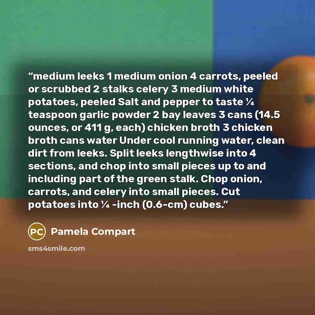 “medium leeks 1 medium onion 4 carrots, peeled or scrubbed 2 stalks celery 3 medium white potatoes, peeled Salt and pepper to taste ¼ teaspoon garlic powder 2 bay leaves 3 cans (14.5 ounces, or 411 g, each) chicken broth 3 chicken broth cans water Under cool running water, clean dirt from leeks…” quote by Pamela Compart