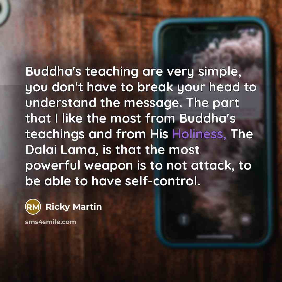 “Buddha's teaching are very simple, you don't have to break…” quote by Ricky Martin