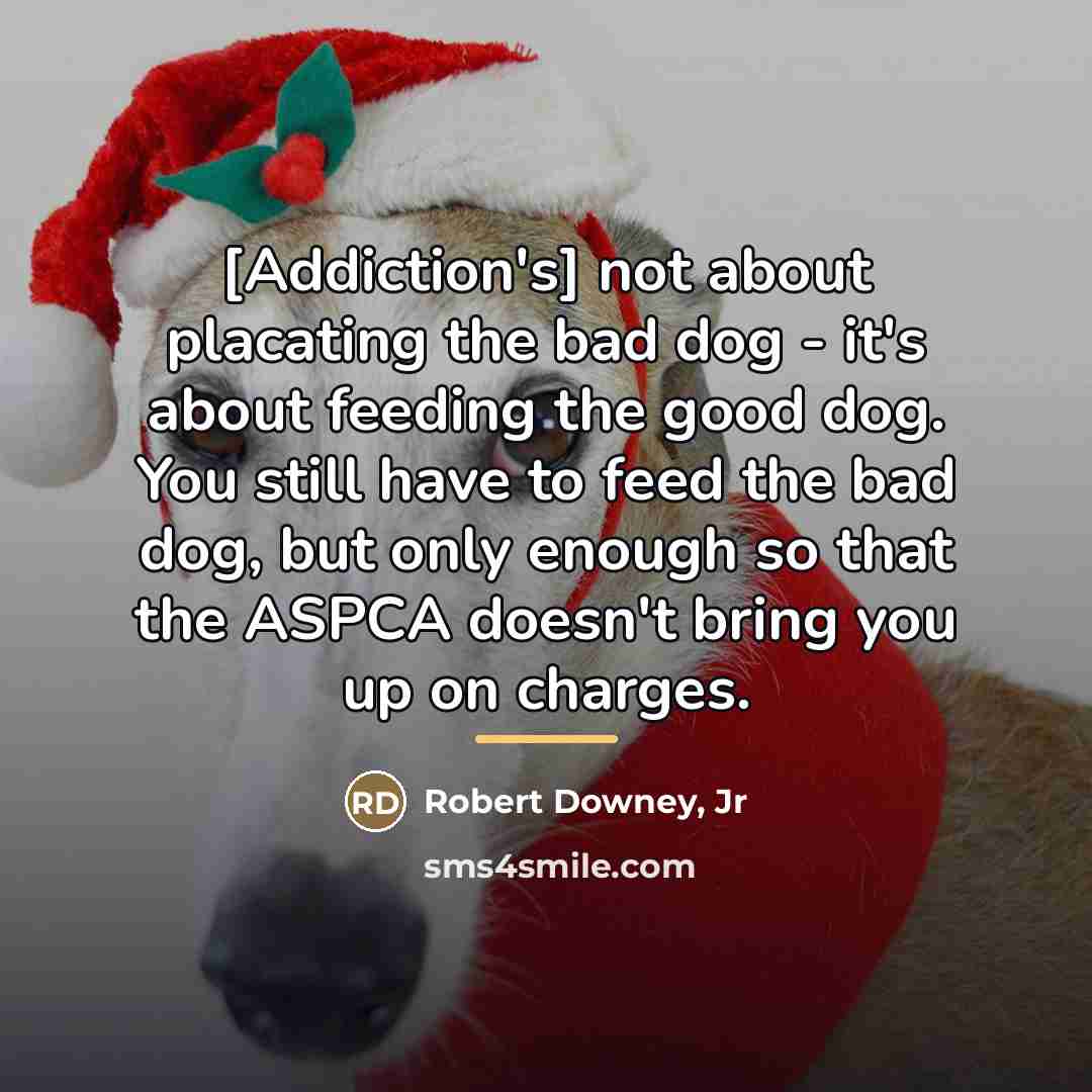 “[Addiction's] not about placating the bad dog - it's about…” quote by Robert Downey, Jr