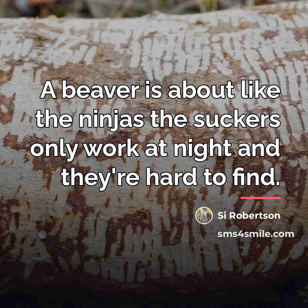 “A beaver is about like the ninjas the suckers only…” quote by Si Robertson