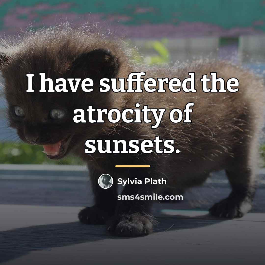 “I have suffered the atrocity of sunsets.…” quote by Sylvia Plath