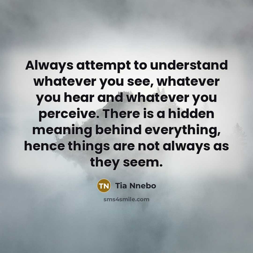 “Always attempt to understand whatever you see, whatever you hear…” quote by Tia Nnebo