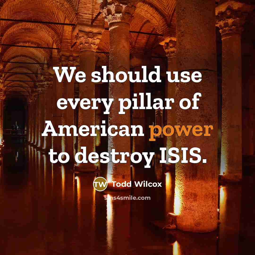 “We should use every pillar of American power to destroy…” quote by Todd Wilcox