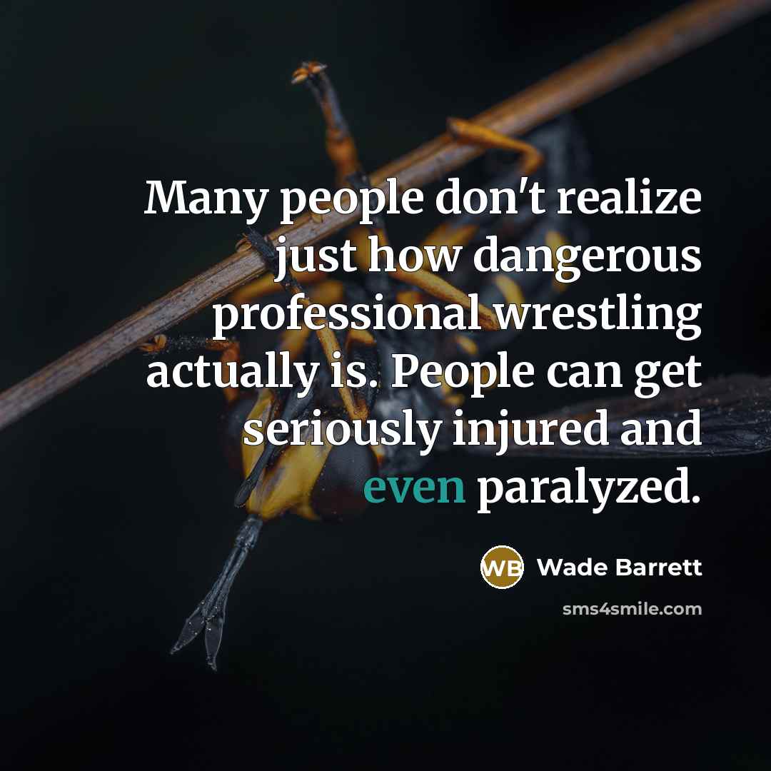 “Many people don't realize just how dangerous professional wrestling actually…” quote by Wade Barrett