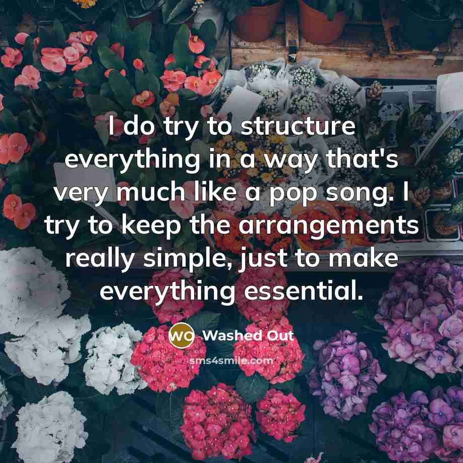 “I do try to structure everything in a way that's very much like a pop song. I try to keep the arrangements really simple, just to make everything essential.” quote by Washed Out