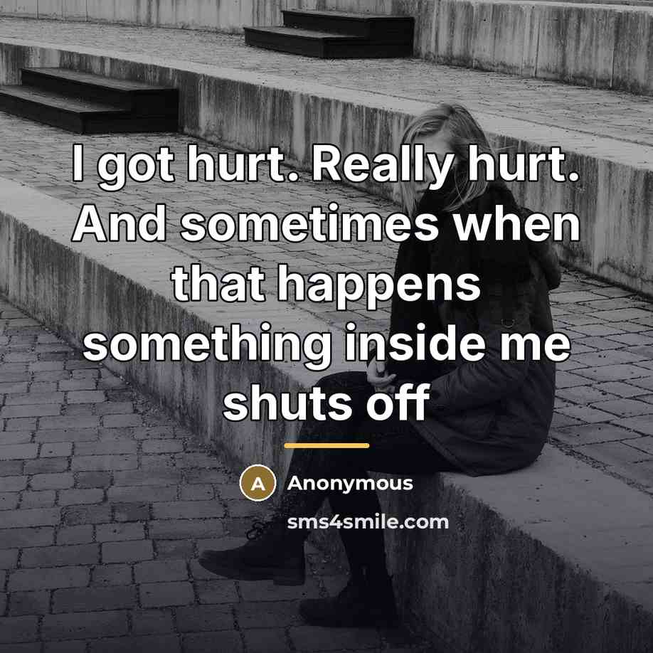 “I got hurt. Really hurt. And sometimes when that happens…” quote by Anonymous