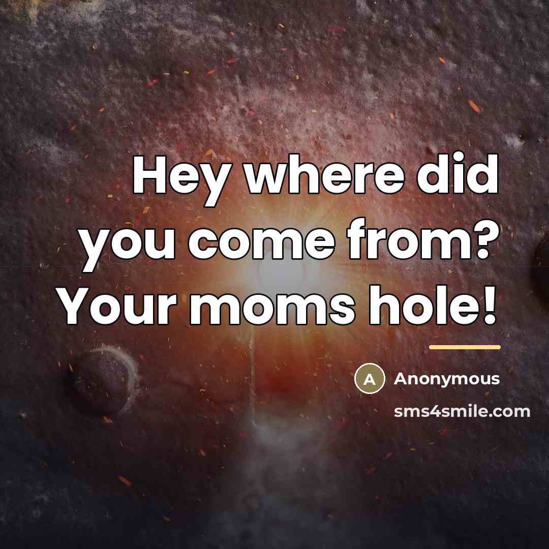 “Hey where did you come from? Your moms hole!…” quote by Anonymous