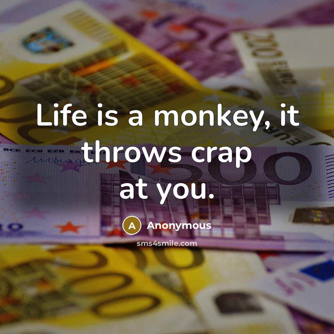 “Life is a monkey, it throws crap at you.” quote by Anonymous