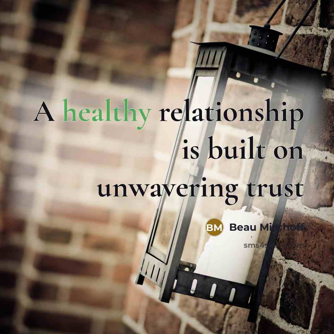“A healthy relationship is built on unwavering trust…” quote by Beau Mirchoff