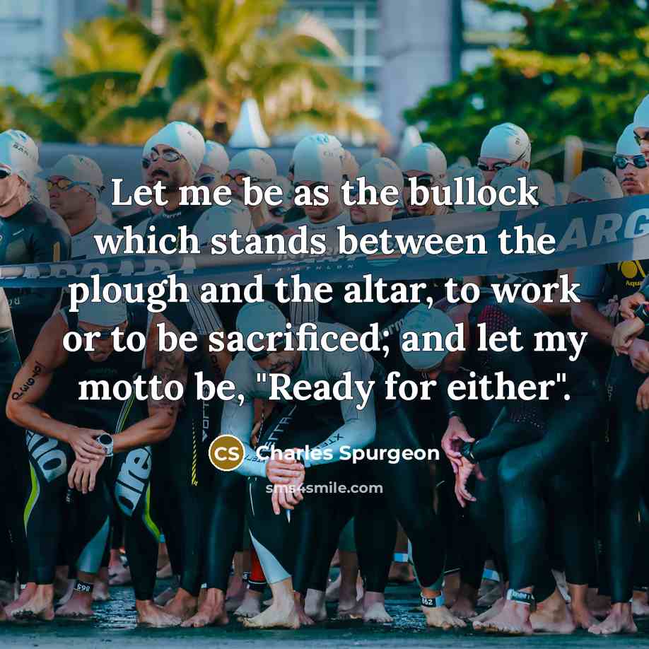 “Let me be as the bullock which stands between the…” quote by Charles Spurgeon