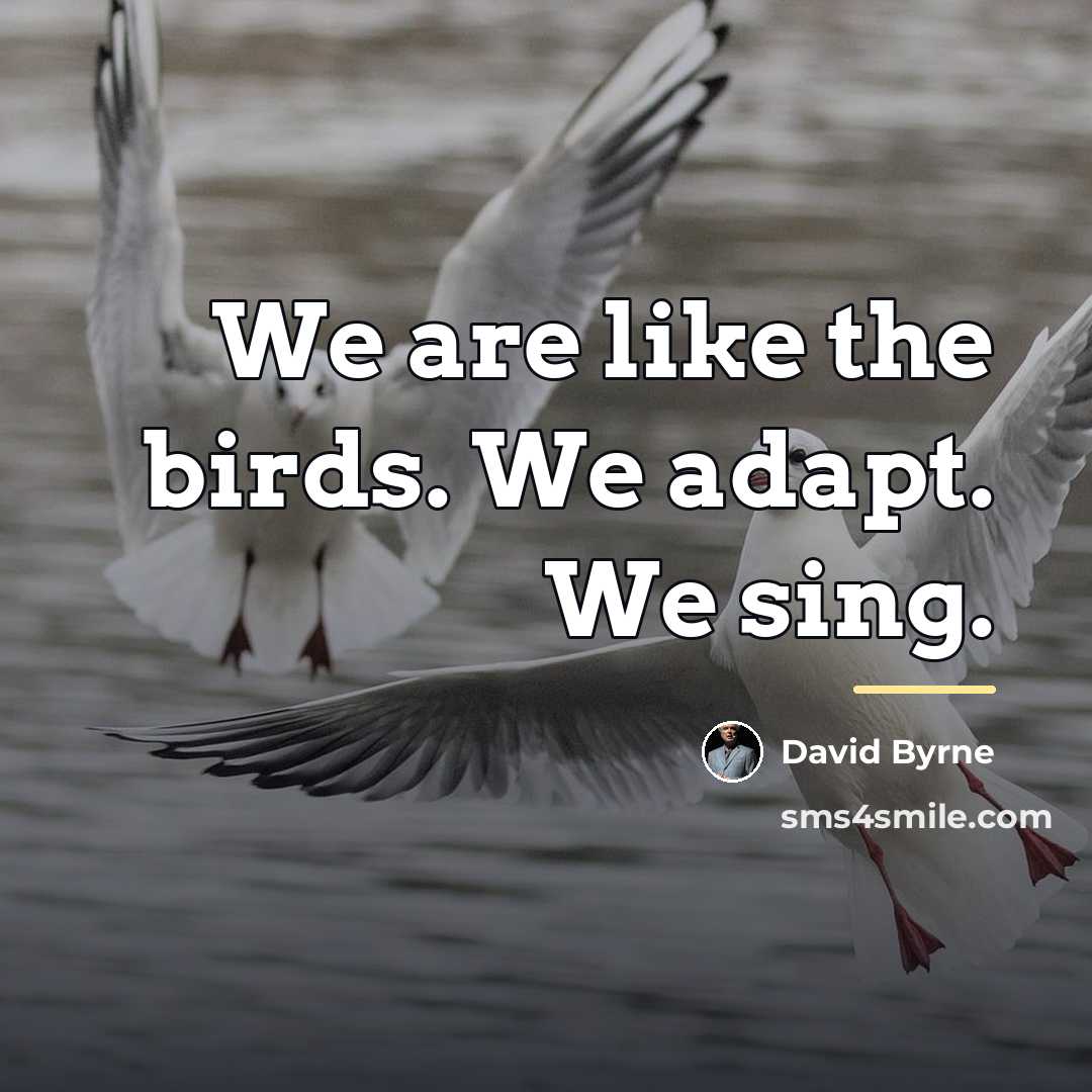 “We are like the birds. We adapt. We sing.…” quote by David Byrne