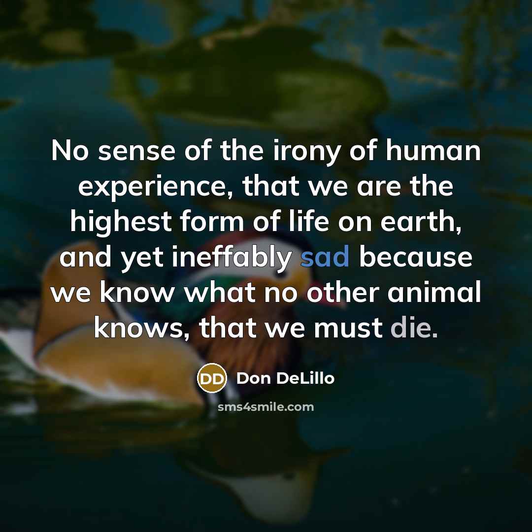 “No sense of the irony of human experience, that we…” quote by Don DeLillo