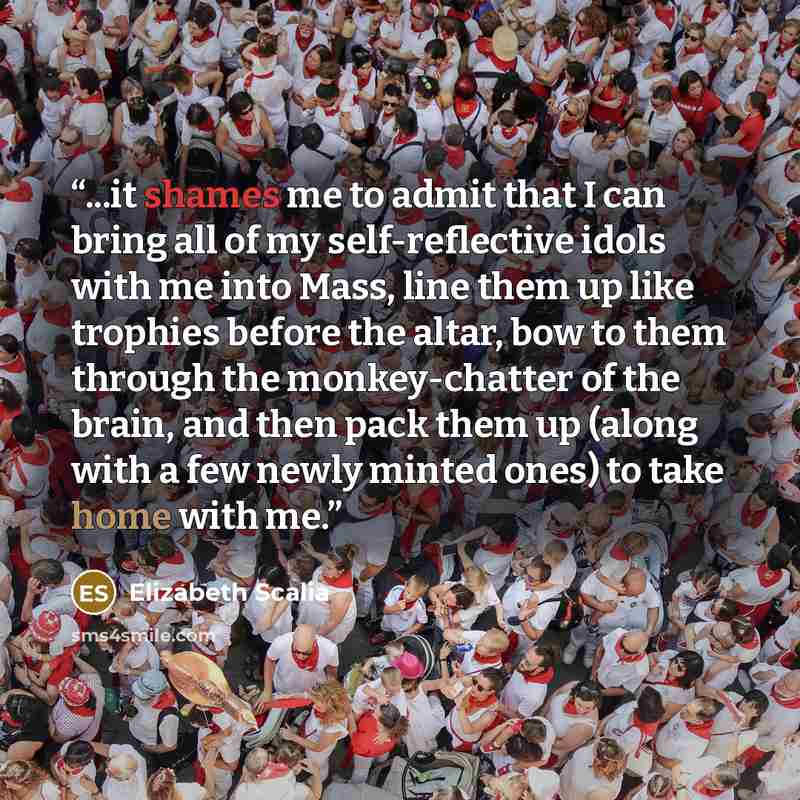 “...it shames me to admit that I can bring all of my self-reflective idols with me into Mass, line them up like trophies before the altar, bow to them through the monkey-chatter of the brain, and then pack them up (along with a few newly minted ones) to take home with me.” quote by Elizabeth Scalia