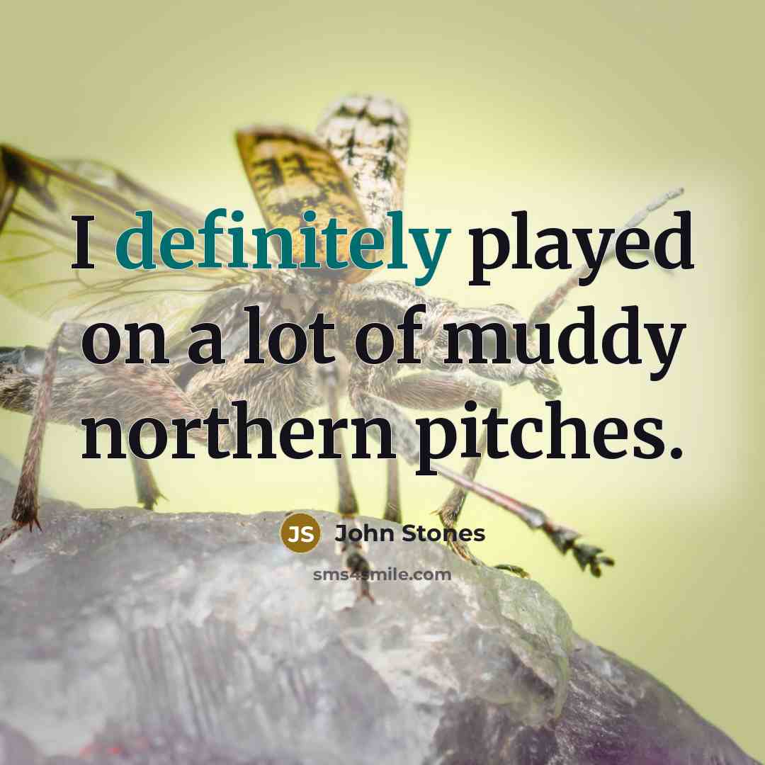 “I definitely played on a lot of muddy northern pitches.…” quote by John Stones