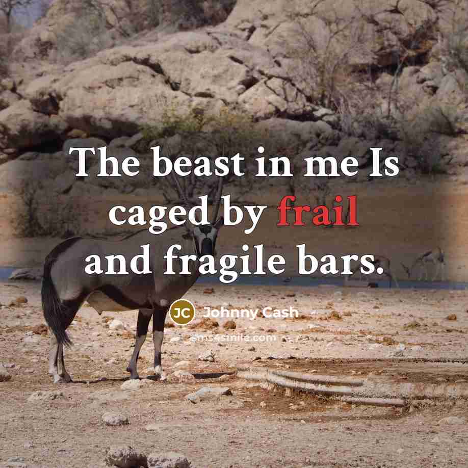 “The beast in me Is caged by frail and fragile…” quote by Johnny Cash