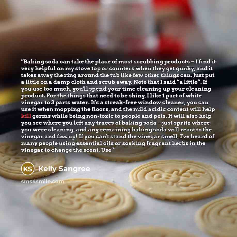 “Baking soda can take the place of most scrubbing products – I find it very helpful on my stove top or counters when they get gunky, and it takes away the ring around the tub like few other things can. Just put a little on a damp cloth and scrub away. Note that I said “a little”. If you use too…” quote by Kelly Sangree