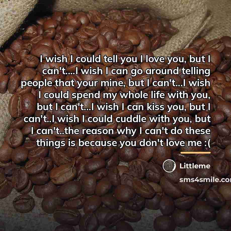 “I wish I could tell you I love you, but…” quote by Littleme