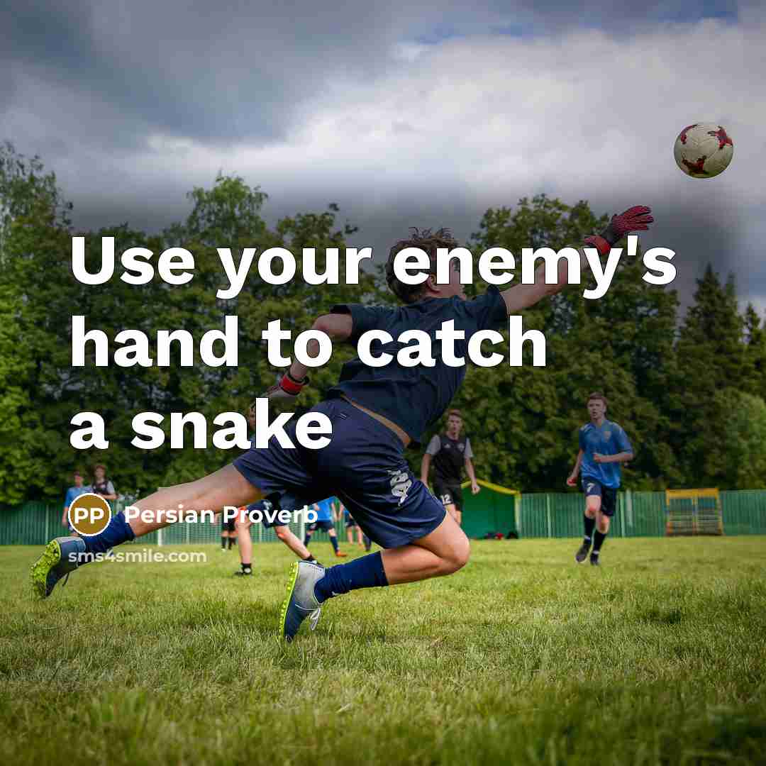“Use your enemy's hand to catch a snake” quote by Persian Proverb
