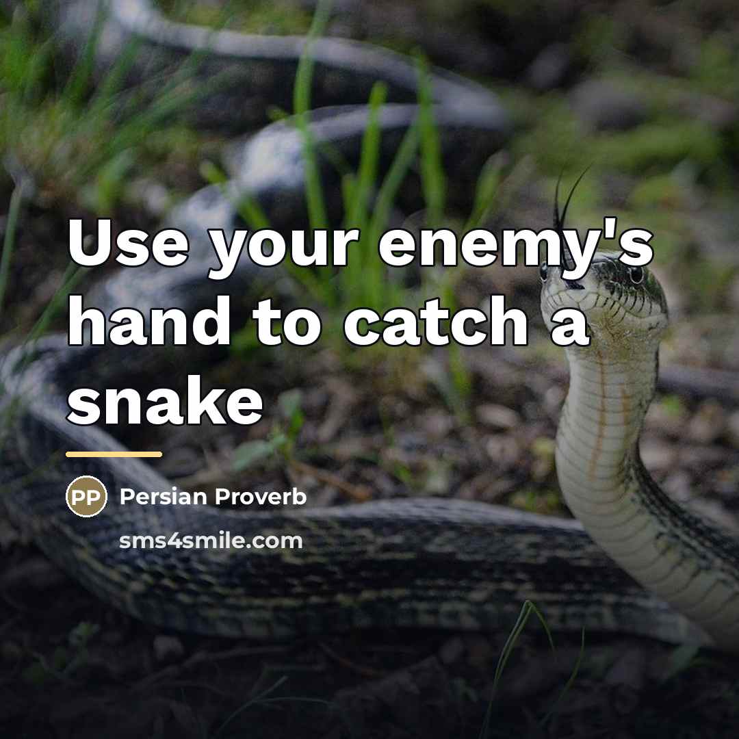 “Use your enemy's hand to catch a snake…” quote by Persian Proverb