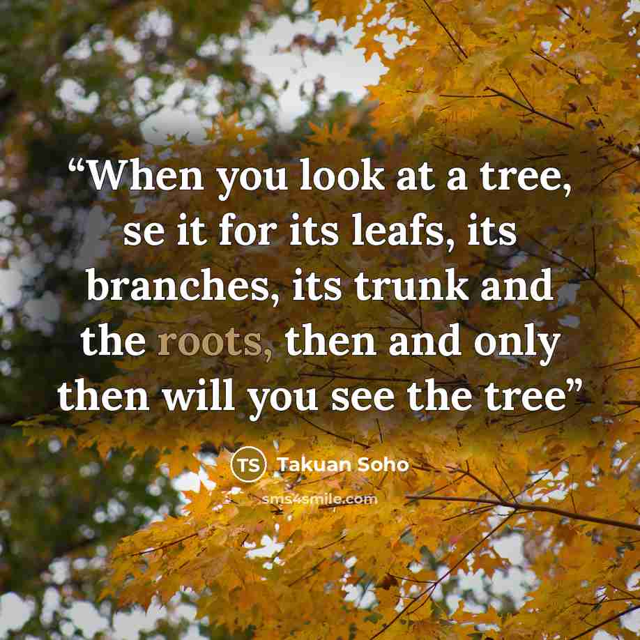 “When you look at a tree, se it for its leafs, its branches, its trunk and the roots, then and only then will you see the tree” quote by Takuan Soho