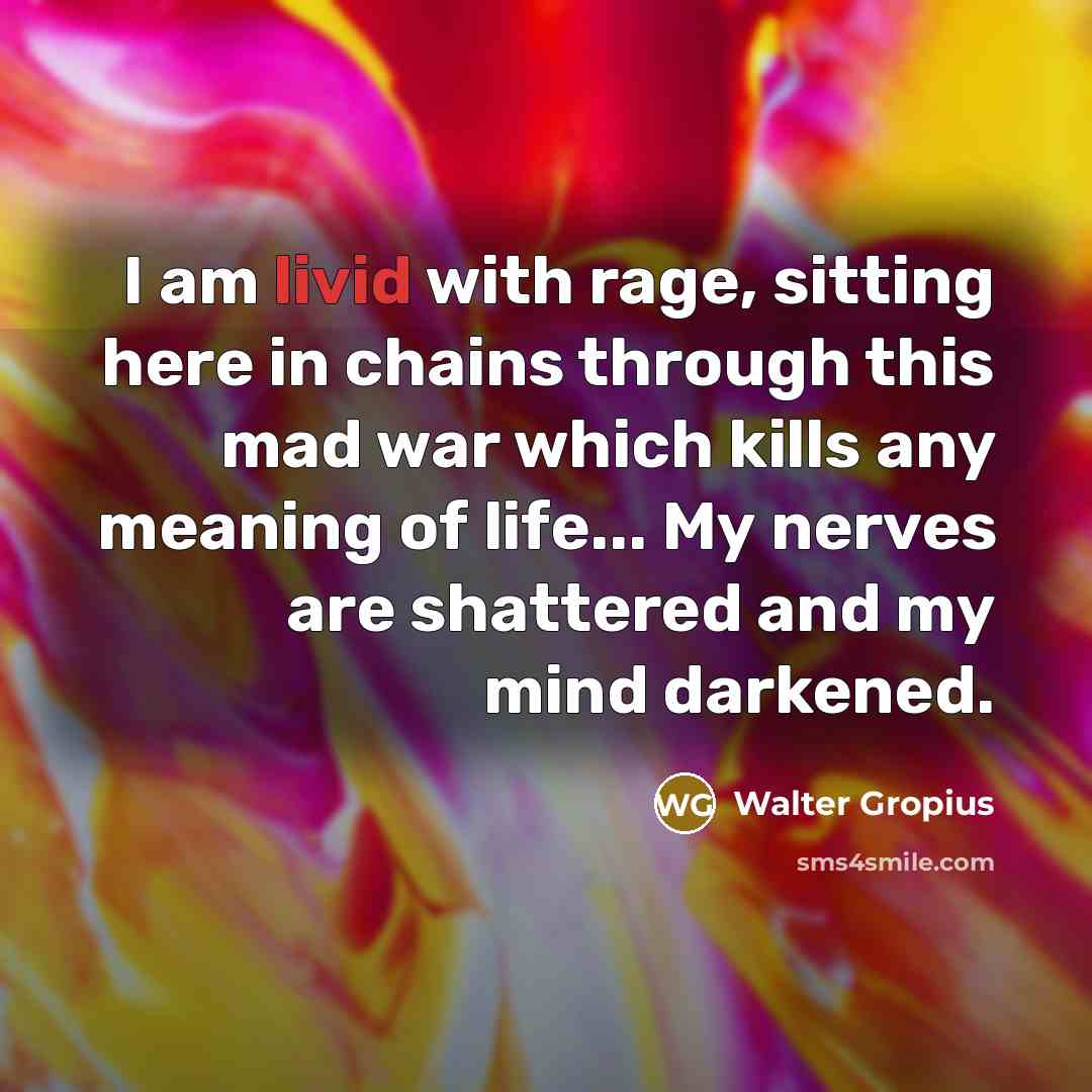 “I am livid with rage, sitting here in chains through…” quote by Walter Gropius
