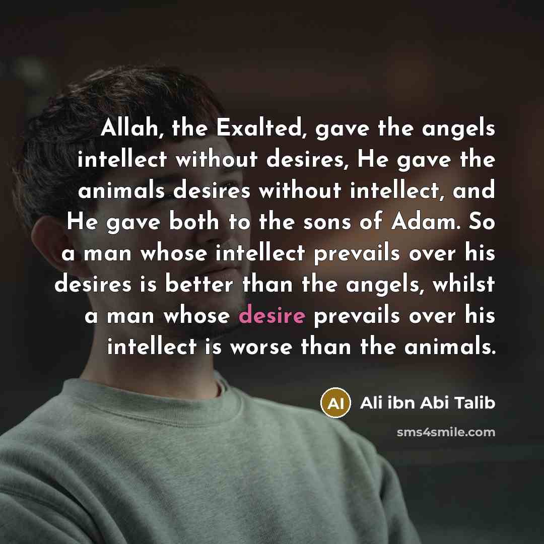 “Allah, the Exalted, gave the angels intellect without desires, He…” quote by Ali ibn Abi Talib
