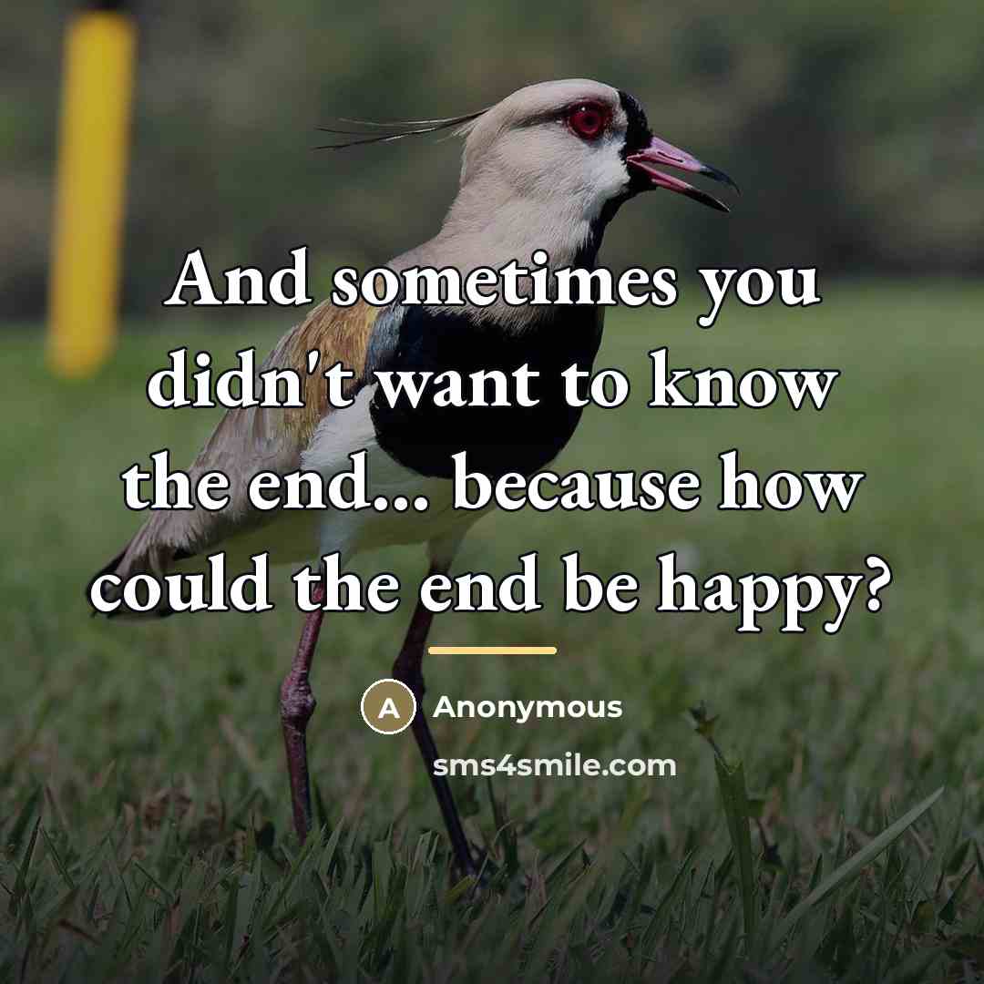 “And sometimes you didn't want to know the end… because…” quote by Anonymous