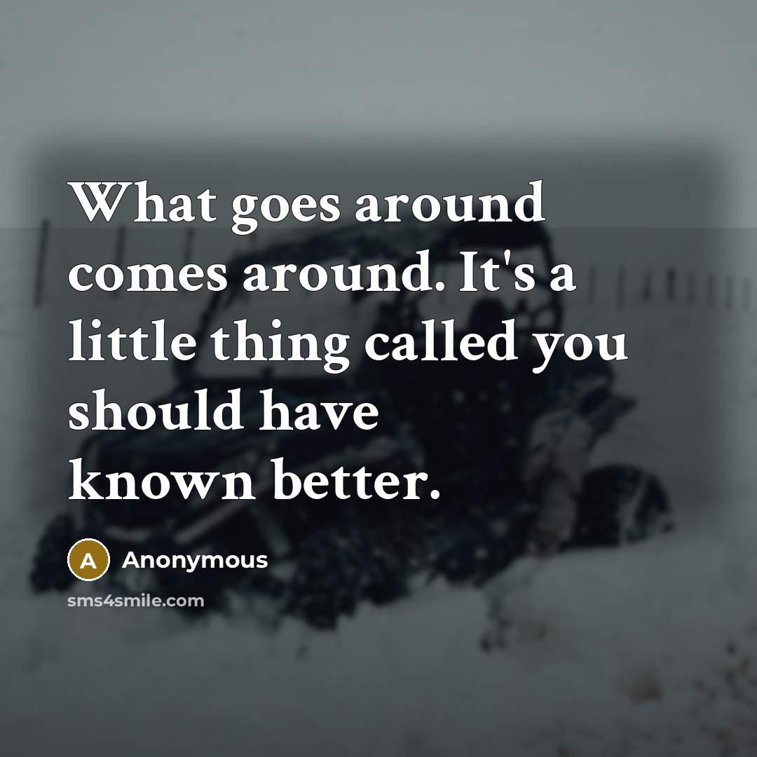 “What goes around comes around. It's a little thing called you should have known better.” quote by Anonymous