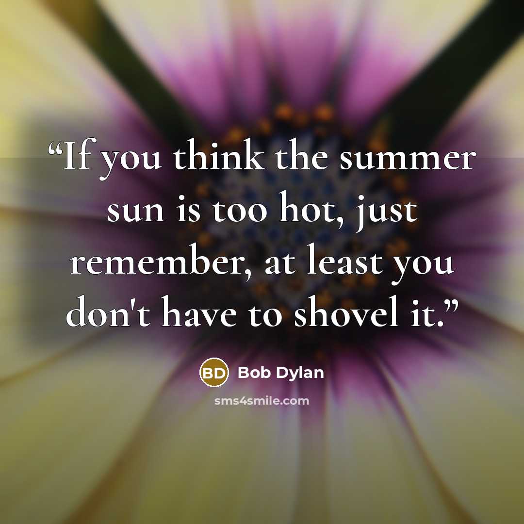 “If you think the summer sun is too hot, just remember, at least you don't have to shovel it.” quote by Bob Dylan