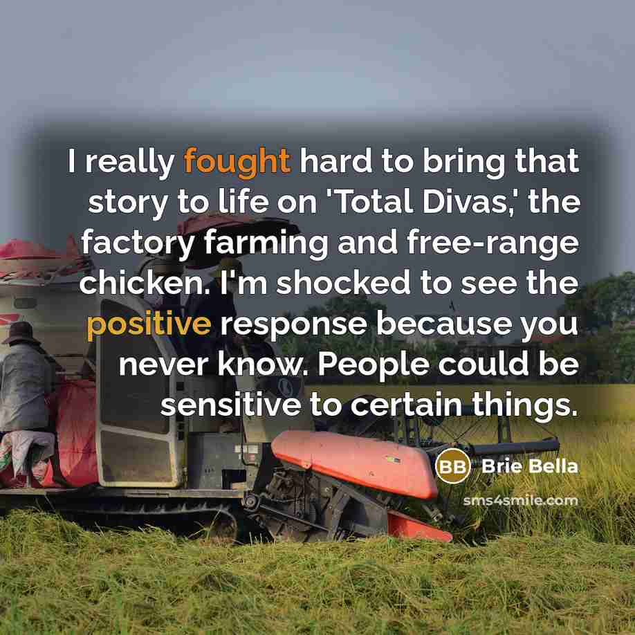 “I really fought hard to bring that story to life…” quote by Brie Bella